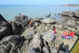 Pengunjung menikmati suasana pantai wisata Jumiang, Pamekasan, Jawa Timur, Minggu (11/11/2018). Dalam beberapa pekan terakhir kunjungan ke sejumlah destinasi di Madura cenderung meningkat pasca digratiskannya jembatan Suramadu oleh presiden. Antara Jatim/Saiful Bahri/Zk