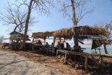 Pengunjung menikmati suasana pantai wisata Jumiang, Pamekasan, Jawa Timur, Minggu (11/11/2018). Dalam beberapa pekan terakhir kunjungan ke sejumlah destinasi di Madura cenderung meningkat pasca digratiskannya jembatan Suramadu oleh presiden. Antara Jatim/Saiful Bahri/Zk