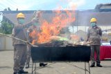 Petugas membakar benih ilegal di Balai Besar karantina Pertanian Wilayah Banyuwangi, Banyuwangi, Jawa Timur, Kamis (15/11/2018). Pemusnahan 44 item  benih ilegal dari luar negeri itu, untuk mencegah sebaran penyakit pertanian yang dapat mengganggu varietas tumbuhan asli Indonesia. Antara Jatim/Budi Candra Setya/ZK.