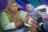 Petugas memberikan antibiotik kepada kucing saat posyandu hewan di kawasan Galuh Mas, Karawang, Jawa Barat, Jumat (23/11/2018). Posyandu hewan merupakan program Dinas Perikanan, Kelautan dan Peternakan Kabupaten Karawang untuk pengobatan dan vaksinisasi serta pemberian antibiotik kepada hewan kucing, musang dan primata secara gratis. ANTARA JABAR/M Ibnu Chazar/agr.