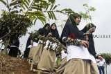 Sejumlah santri membawa bibit pohon saat program penghijauan di Pondok Quran Boarding School, Cilengkrang, Kabupaten Bandung, Jawa Barat, Jumat (28/11/2018). Kegiatan yang diselenggarakan oleh PLN Unit Induk Distribusi Jawa Barat tersebut dalam rangka memperingati Hari Menanam Pohon Indonesia (HMPI) dan PLN menanam 22.000 pohon di wilayah-wilayah operasional PLN se-Indonesia. ANTARA JABAR/M Agung Rajasa/agr.
