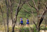 Sejumlah pelari mengikuti Semen Indonesia Trail Run 2018 di Perbukitan dalam area pasca tambang pabrik Semen Indonesia di Gresik, Jawa Timur, Minggu (11/11/2018). Lomba lari dengan memperlombakan nomor lari 10K dan 21K yang diikuti sekitar 1.500 peserta dari berbagai daerah untuk menyusuri lintas alam perbukitan area pasca tambang dan area produksi pabrik semen tersebut juga berhasil memperoleh penghargaan dari Museum Rekor Indonesia (MURI). Antara Jatim/M Risyal Hidayat/zk