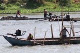 Sejumlah pekerja menambang pasir menggunakan perahu di tengah aliran sungai Brantas, Kota Kediri, Jawa Timur, Kamis (22/11/2018). Aktifitas penambangan ilegal di sungai itu semakin marak meskipun pemerintah daerah setempat melarangnya karena dinilai merusak lingkungan dan mengancam keberadaan jembatan di wilayah sekitar. Antara Jatim/Prasetia Fauzani/ZK.