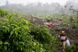 Warga berjalan melewati jalan yang tertimbun tanah longsor di Desa Cikarang, Cidolog, Kabupaten Sukabumi, Jawa Barat, Senin (12/11/2018). Hujan deras yang melanda daerah itu menyebabkan akses jalan Tagoglalay-Cikarang di Kecamatan Cidolog tertimbun tanah longsor sepanjang 50 meter. ANTARA JABAR/Nurul Ramadhan/agr.