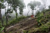 Warga berjalan melewati jalan yang tertimbun tanah longsor di Desa Cikarang, Cidolog, Kabupaten Sukabumi, Jawa Barat, Senin (12/11/2018). Hujan deras yang melanda daerah itu menyebabkan akses jalan Tagoglalay-Cikarang di Kecamatan Cidolog tertimbun tanah longsor sepanjang 50 meter. ANTARA JABAR/Nurul Ramadhan/agr.