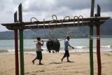 Nelayan memikul tali jaring untuk menangkap ikan di pantai Sidem, Tulungagung, Jawa Timur, Minggu (25/11/2018). Pantai sidem menjadi destinasi wisata favorit pengunjung dari sejumlah daerah karena menawarkan keindahan alam yang masih asri dan dapat berinteraksi langsung dengan nelayan setempat. Antara Jatim/Prasetia Fauzani/ZK.