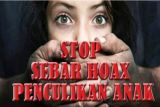 Pelaku informasi hoaks penculikan anak ditangkap