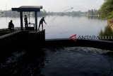 Warga menjala ikan di Situ Cikaret, Bogor, Jawa Barat, Kamis (22/11/2018). Badan Perencanaan Pembangunan, Penelitian dan Pengembangan Daerah (Bappedalitbang) Kabupaten Bogor menyatakan, kawasan Kabupaten Bogor memilki 95 setu yang berpotensi menjadi sumber air baku. ANTARA JABAR/Yulius Satria Wijaya/agr.