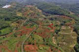 Foto udara alih fungsi lahan kawasan hutan menjadi lahan pesawahan di Icakan, Kabupaten Ciamis, Jawa Barat, Senin (19/11/2018). Kementerian Lingkungan Hidup dan Kehutanan (KLHK) menyatakan luas lahan kritis di Indonesia mencapai 14 juta hektare dan Pemerintah merehabilitasi lahan lahan kritis hanya seluas 500.700 hektare dalam kurun waktu hingga 48 tahun. ANTARA JABAR/Adeng Bustomi/agr.