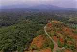 Foto udara alih fungsi lahan kawasan hutan menjadi lahan pesawahan di Icakan, Kabupaten Ciamis, Jawa Barat, Senin (19/11/2018). Kementerian Lingkungan Hidup dan Kehutanan (KLHK) menyatakan luas lahan kritis di Indonesia mencapai 14 juta hektare dan Pemerintah merehabilitasi lahan lahan kritis hanya seluas 500.700 hektare dalam kurun waktu hingga 48 tahun. ANTARA JABAR/Adeng Bustomi/agr.