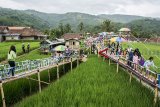 Pengunjung menikmati pemandangan di kawasan Agro Wisata Minapadi Sawah Lega, Cireunghas, Kabupaten Sukabumi, Jawa Barat, Selasa (18/12/2018). Kawasan yang dibuat oleh sejumlah petani tersebut merupakan wisata edukasi berupa penanaman padi dengan budidaya ikan, serta perlintasan bambu dan saung untuk para pengunjung menikmati pemandangan panorama pesawahan di tengah pegunungan. ANTARA JABAR/Nurul Ramadhan/agr. 