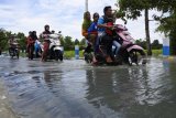 Warga melintasi akses jalan desa yang terendam banjir di Gumukmas, Jember, Jawa Timur, Selasa (25/12/2018). Banjir di Gumukmas merupakan luberan banjir dari kecamatan tetangga yakni Kencong yang tidak kunjung surut dalam tiga hari terakhir. Antara Jatim/Seno/ZK.