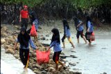 Siswa SMKN 1 Tlanakan membersihkan sampah di kawasan hutan mangrove Pantai Ambat, Pamekasan, Jawa Timur, Rabu (5/12/2018). Selain untuk menjaga ekosistem laut, bakti sosial tersebut juga untuk menggugah kesadaran masyarakat agar tidak membuang sambah sembarangan. Antara Jatim/Saiful Bahri/ZK.