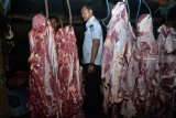 Petugas memperhatikan barang bukti daging sapi gelonggongan saat melakukan penggerebekan di kandang sapi di kawasan Krian, Sidoarjo, Jawa Timur, Rabu (5/12/2018). Polisi mengungkap praktik penyembelihan sapi dengan cara digelonggong lebih dulu di salah satu tempat pemotongan hewan di daerah itu. Antara Jatim/Umarul Faruq/ZK.