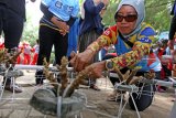 Wisatawan merangkai terumbu karang di Pantai Bangsring, Banyuwangi, Jawa Timur, Minggu (9/12/2018). Pantai Bangsring merupakan zona transplantasi terumbu karang, yang menjadi daya tarik untuk wisata edukasi konservasi di Banyuwangi. Antara Jatim/Budi Candra Setya/ZK.