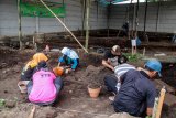 Petugas Balai Pelestarian Cagar Budaya (BPCB) Jatim beserta relawan melakukan ekskavasi situs di Dusun Sambeng, Belahantengah, Mojosari, Mojokerto, Jawa Timur, Selasa (18/12/2018). Situs purbakala skala besar  dengan tumpukan bata dimensi 28x18x6 cm yang tersusun dari 2 hingga 7 lapis bata merah dan batu tersebut diduga bekas lantai dan pondasi rumah permukiman zaman Majapahit akhir. Antara Jatim/Umarul Faruq/ZK.