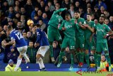 Liga Inggris: Everton v Watford