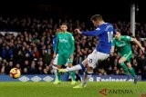 Liga Inggris: Everton v Watford