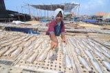 Warga menjemur ikan di Desa Branta Pesisir, Pamekasan, Jawa Timur, Senin (10/12/2018). Ikan kering yang diharga Rp30.000 hingga Rp100.000 per kg itu dipasarkan ke sejumlah daerah di Jatim, Jateng dan Jogjakarta guna memenuhi kebutuhan ikan selama musim angin dan ombak. Antara Jatim/Saiful Bahri/ZK.