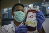 Petugas Palang Merah Indonesia (PMI) memeriksa kantong darah di laboratorium Kantor PMI Kota Bandung, Jawa Barat, Rabu (5/12/2018). Data World Health Organization (WHO) mencatat kebutuhan darah di Indonesia mencapai 5,1 juta kantong per tahunnya, sementara yang terpenuhi hanya sekitar 4,2 juta kantong darah. ANTARA JABAR/Raisan Al Farisi/agr.