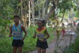 Peserta mengikuti lomba lari lintas alam di kawasan lereng Gunung Argopuro, Sumbermalang, Situbondo, Jawa Timur, Minggu (9/12/2018). Sebanyak 1.555 peserta dari empat kategori, yaitu nasional, pasangan (couple), umum dan pelajar mengikuti lari lintas alam untuk memperkenalkan destinasi wisata olahraga. Antara Jatim/Seno/ZK.