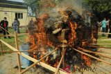 Personil Polda Aceh bersama TNI, BNN dan jajaran Forum Komunikasi Pimpinan Daerah (Forkopimda) Aceh memusnahkan barang bukti tindak kejahatan narkotika jenis ganja dan sabu dengan cara dibakar di Mapolda Aceh, Banda Aceh, Kamis (27/12/2018). Pemusnahan barang bukti narkotika tindak kejahatan tersebut terdiri dari sebanyak 795 kilogram paket ganja siap edar dan sebanyak 18 kilogram sabu dan mengamankan enam tersangka. (Antara Aceh/Ampelsa)