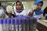Petugas memeriksa sampel darah saat pemeriksaan HIV/AIDS gratis dalam rangka memperingati hari AIDS sedunia di Indramayu, Jawa Barat, Sabtu (1/12/2018). Pemeriksaan tersebut dilakukan untuk mengetahui sejak dini penyebaran HIV/AIDS pada masyarakat. ANTARA JABAR/Dedhez Anggara/agr.