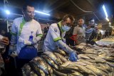 Petugas Dinas Pangan dan Pertanian memeriksa kualitas ikan di Pasar Kosambi, Bandung, Jawa Barat, Kamis (13/12/2018). Pemeriksaan kualitas pangan tersebut dilakukan guna mengantisipasi beredarnya pangan yang tidak layak konsumsi menjelang perayaan Natal dan Tahun Baru 2019. ANTARA JABAR/Raisan Al Farisi/agr. 