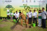 Bupati Sidoarjo, Saiful Ilah (kedua kiri) secara simbolis menanam pohon Trembesi disaksikan Vice President Djarum Foundation FX Supanji (kanan), Duta Lingkungan DTFL Tasya Kamila (kedua kanan) di alun-alun Sidoarjo, Jawa Timur, Rabu (5/12/2018). PT Djarum melalui program Djarum Trees for Life melakukan penanaman 8.400 pohon trembesi di ruas Tol Trans Jawa. Antara Jatim/Umarul Faruq/ZK.