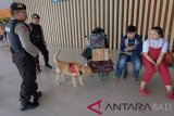 Polisi unit K-9 mengarahkan anjing pelacak saat memeriksa tas milik penumpang di areal Terminal Kedatangan Domestik, Bandara I Gusti Ngurah Rai, Badung, Bali, Kamis (20/12/2018). Bandara internasional tersebut membuka pos terpadu selama 18 hari dengan melibatkan 1.273 personil dari berbagai unsur untuk menjaga keamanan, keselamatan, dan kelancaran arus penumpang selama liburan Natal dan Tahun Baru. ANTARA FOTO/Nyoman Hendra Wibowo/nym.Polisi unit K-9 mengarahkan anjing pelacak saat memeriksa tas milik penumpang di areal Terminal Kedatangan Domestik, Bandara I Gusti Ngurah Rai, Badung, Bali, Kamis (20/12/2018). Bandara internasional tersebut membuka pos terpadu selama 18 hari dengan melibatkan 1.273 personil dari berbagai unsur untuk menjaga keamanan, keselamatan, dan kelancaran arus penumpang selama liburan Natal dan Tahun Baru. ANTARA FOTO/Nyoman Hendra Wibowo/nym. (ANTARA FOTO/Nyoman Hendra Wibowo)