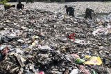 Prajurit TNI membersihkan bantaran sungai dari sampah di oxbow Cicukang di Kecamatan Margaasih, Kabupaten Bandung, Jawa Barat, Rabu (5/12/2018). Tahun 2019 Pemerintah pusat akan menggelontorkan anggaran hingga Rp 640 miliar untuk pembenahan Sungai Citarum.  ANTARA JABAR/M Agung Rajasa/agr.
