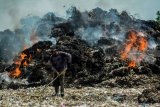 Pemulung membakar sampah plastik dan barang bekas lainnya di tempat pengolahan limbah kertas dan plastik di Desa Bangun, Pungging, Mojokerto, Selasa (11/12/2018). Guru Besar Pengelolaan Udara dan Limbah Institut Teknologi Bandung (ITB), Enri Damanhuri, mengungkapkan tiap tahun sekitar 44 persen sampah plastik atau 2,13 juta ton cemari lingkungan. Antara Jatim/Umarul Faruq/ZK.