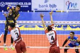 Pebola voli putra Sidoarjo Aneka gas Industri Rendy Ferdian Lucardo (kiri) melepas smes ke arah tim bola voli Surabaya Bhayangkara Samator pada pertandingan seri ketiga putaran pertama Proliga 2019 di GOR C'Tra Arena, Bandung, Jawa Barat, Jumat (21/12/2018). Sidoarjo Aneka Gas Industri menang atas Surabaya Bhayangkara Samator dengan skor akhir 3-1 (23-25, 25-22, 25-18, 26-24). ANTARA JABAR/M Agung Rajasa/agr. 