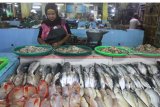 Pedagang membersihkan ikan laut tangkapan yang dijualnya di Pasarbesar, Malang, Jawa Timur, Jumat (7/12/2018).  Pedagang ikan setempat mengaku, harus mendatangkan ikan dari Lumajang, Jember dan Probolinggo untuk mengatasi kekurangan stok ikan tangkapan di pasaran akibat gelombang laut tinggi. Antara Jatim/Ari Bowo Sucipto/ZK.