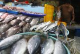 Pedagang membersihkan ikan laut tangkapan yang dijualnya di Pasarbesar, Malang, Jawa Timur, Jumat (7/12/2018).  Pedagang ikan setempat mengaku, harus mendatangkan ikan dari Lumajang, Jember dan Probolinggo untuk mengatasi kekurangan stok ikan tangkapan di pasaran akibat gelombang laut tinggi. Antara Jatim/Ari Bowo Sucipto/ZK.