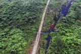 Pemandangan dari suasana alam terlihat di kawasan wisata kawah Gunung Galunggung, Kabupaten Tasikmalaya, Jawa Barat, Selasa (4/12/2018). Pemerintah Provinsi Jawa Barat menyatakan kunjungan wisatawan tahun 2018 mencapai 49,75 juta orang, diantaranya 48 juta kunjungan wisatawan lokal dan 1,75 juta wisatawan mancanegara serta menargetkan kunjungan wisatawan pada 2019 sebanyak 20 juta orang. ANTARA JABAR/Adeng Bustomi/agr.
