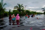 BANJIR DI KAMPAR RIAU