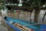 Banjir Rendam 13 Desa Di Cilacap 