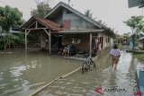 Banjir Rendam 13 Desa Di Cilacap 