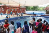 Pengunjung Dolphin Center Batang naik 40 persen