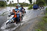 Warga melintasi akses jalan desa yang terendam banjir di Gumukmas, Jember, Jawa Timur, Selasa (25/12/2018). Banjir di Gumukmas merupakan luberan banjir dari kecamatan tetangga yakni Kencong yang tidak kunjung surut dalam tiga hari terakhir. Antara Jatim/Seno/ZK.