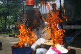 Petugas Karantina memusnahkan paket berisi bibit tanaman dan kornet babi ilegal hasil sitaan di Kantor Balai Besar Karantina Pertanian (BBKP) Surabaya Wilayah Kerja Bandara Abdul Rachman Saleh, Malang, Jawa Timur, Selasa (18/12/2018). Puluhan kilogram bibit tanaman ilegal dan kornet babi yang dimusnahkan tersebut berasal dari Malaysia, Singapura, Vietnam, Korea Selatan serta China. Antara Jatim/Ari Bowo Sucipto/ZK.