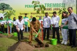 Bupati Sidoarjo, Saiful Ilah (kedua kiri) secara simbolis menanam pohon Trembesi disaksikan Vice President Djarum Foundation FX Supanji (kanan), Duta Lingkungan DTFL Tasya Kamila (kedua kanan) di alun-alun Sidoarjo, Jawa Timur, Rabu (5/12/2018). PT Djarum melalui program Djarum Trees for Life melakukan penanaman 8.400 pohon trembesi di ruas Tol Trans Jawa. Antara Jatim/Umarul Faruq/ZK.