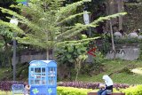 Warga membaca buku dari layanan Kotak Literasi Cerdas (Kolecer) di Taman Sempur, Kota Bogor, Jawa Barat, Sabtu (15/12/2018). Kolecer yang diluncurkan Dinas Perpustakaan Kearsipan Daerah (Dispusipda) Provinsi Jawa Barat dalam bentuk perpustakaan mini di ruang publik yang mampu memuat 80 buku tersebut sebagai bentuk inovasi agar masyarakat dapat mengisi waktunya dengan membaca. ANTARA JABAR/Arif Firmansyah/agr. 