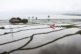 Lahan persawahan di Desa Simpenan, Pelabuhan Ratu, Kabupaten Sukabumi, Jawa Barat, Senin (10/12/2018). Berdasarkan data Kementerian Agraria dan Tata Ruang (ATR), setiap tahun sebanyak 150 ribu hingga 200 ribu hektar lahan sawah beralih fungsi menjadi kawasan industri, perumahan, atau bangunan lain. ANTARA JABAR/Nurul Ramadhan/agr.