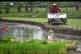 Petani menanam benih padi dengan mesin penanam (transplanter) di lahan persawahan di Pringapus, Kabupaten Semarang, Jawa Tengah, Rabu (26/12/2018). Sebagian kalangan petani di daerah tersebut mulai beralih ke mesin pertanian dalam menanam maupun memanen padi karena dinilai lebih efisien sekitar 50 persen dari biaya produksi dengan tenaga manusia secara manual dan lebih cepat proses pengerjaannya. ANTARA FOTO/Aditya Pradana Putra/aww.