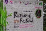 Payakumbuh Botuang Festival angkat budaya dan industri kreatif