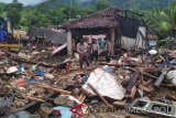 Anjing pelacak dari Polda Lampung diturunkan untuk mencari korban bencana tsunami yang masih belum ditemukan di Desa Waymuli, Kecamatan Rajabasa, Kabupaten Lampung Selatan, Provinsi Lampung.  (Megapolitan.Anataranews.Com/Foto: Aditya AR).
