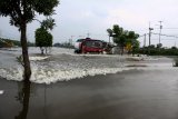 Kendaraan menerobos Jalan Raya yang terendam banjir di Porong, Sidoarjo, Jawa Timur, Sabtu (19/1/2019). Banjir yang diakibatkan curah hujan tinggi sejak Jumat (18/1) malam tersebut mengakibatkan jalan raya Porong terendam air setinggi 70 cm. Antara Jatim/Umarul Faruq/ZK.