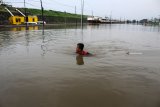 Seorang anak melintas di Jalan Raya yang terendam banjir di Porong, Sidoarjo, Jawa Timur, Sabtu (19/1/2019). Banjir yang diakibatkan curah hujan tinggi sejak Jumat (18/1) malam tersebut mengakibatkan jalan raya Porong terendam air setinggi 70 cm. Antara Jatim/Umarul Faruq/ZK.